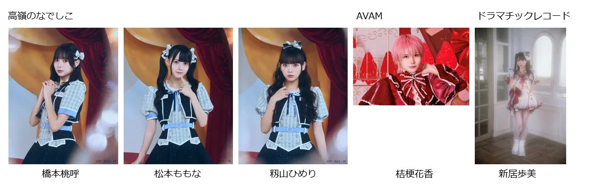 高嶺のなでしこ、AVAM、ドラマチックレコードのメンバー
