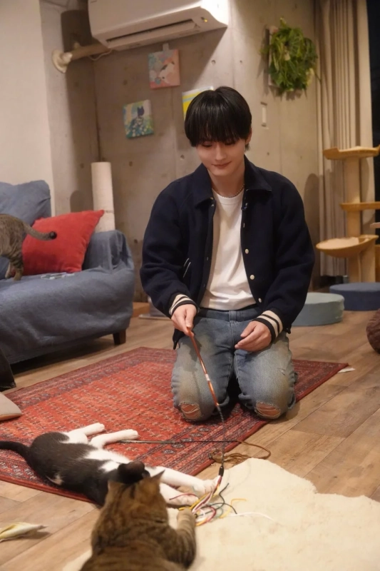 男性が猫じゃらしで猫と遊ぶ様子