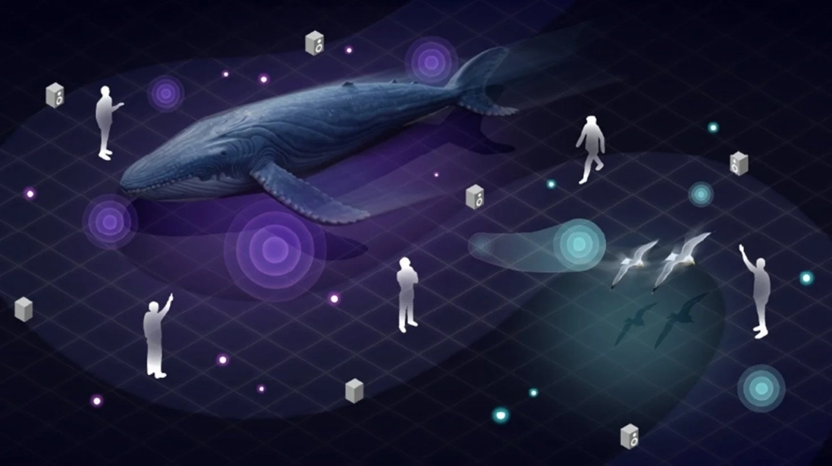 巨大なクジラのホログラム