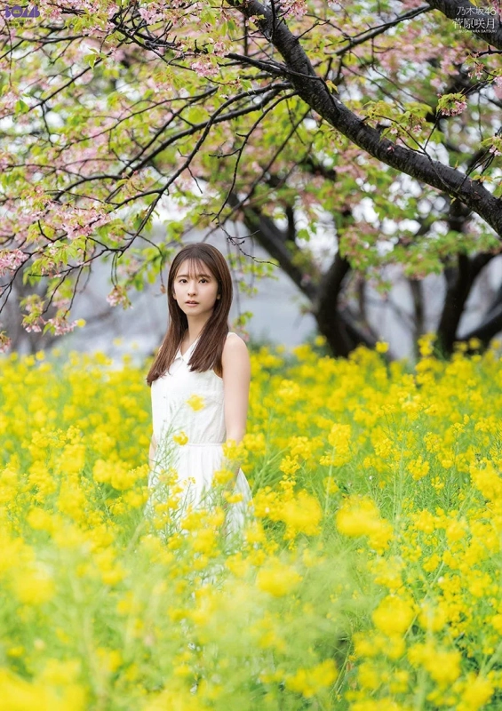 乃木坂46 菅原咲月