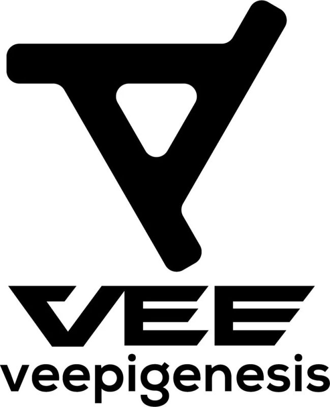 VEEプロジェクト概要