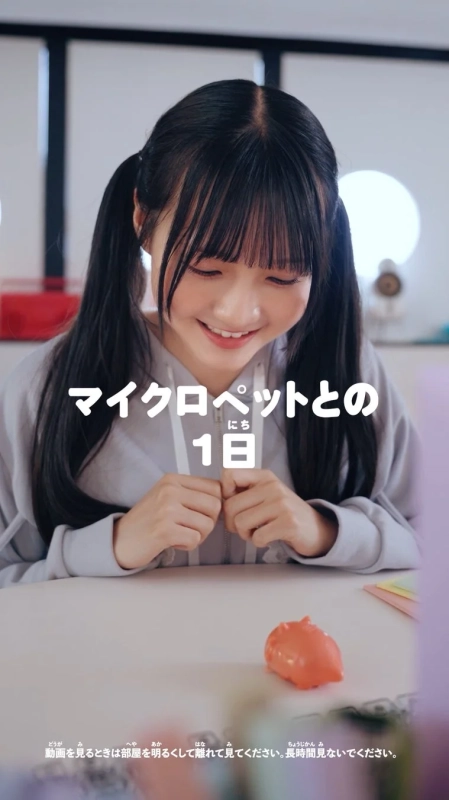 マイクロペットとの1日