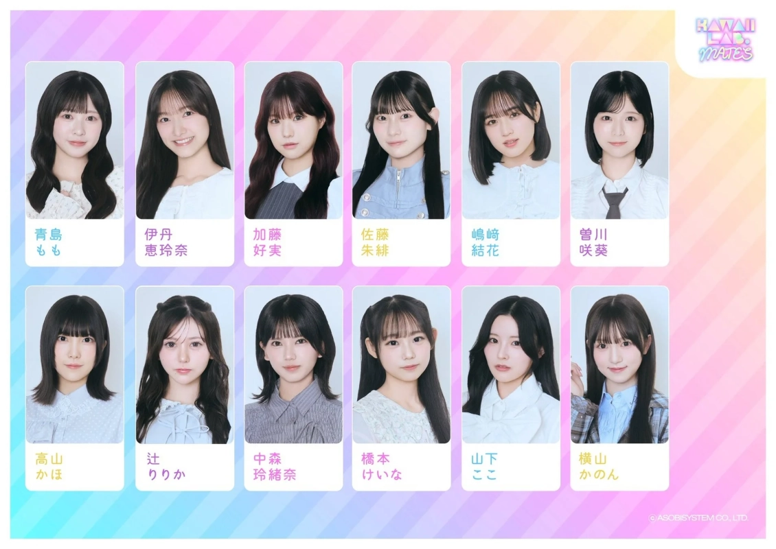 KAWAII LAB. MATES