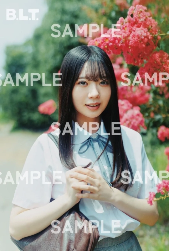 坂井新奈（日向坂46） ポストカード