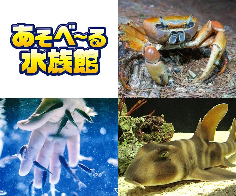 水族館コラージュ